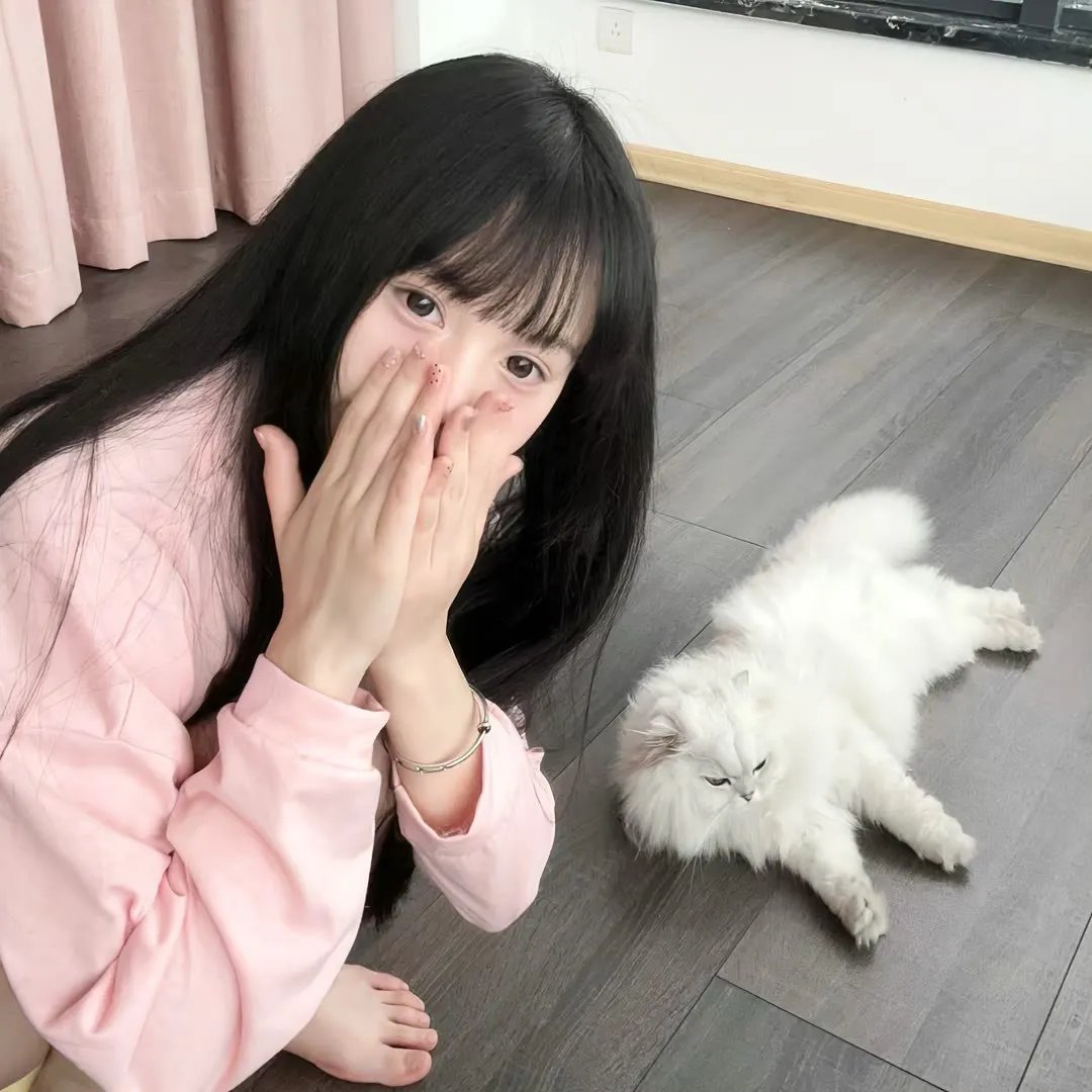 密谋
