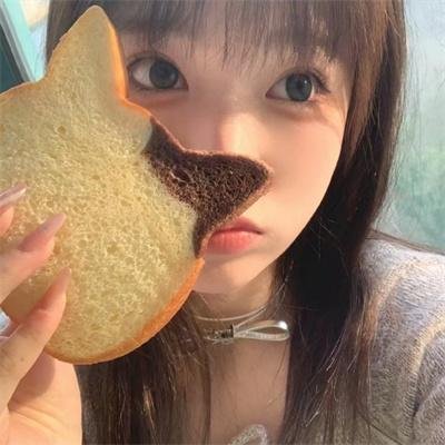 黑猩猩的世界