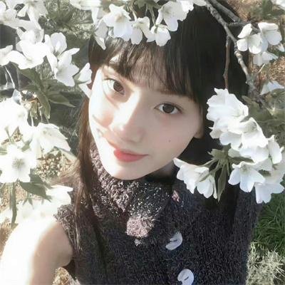 毒枭第一季